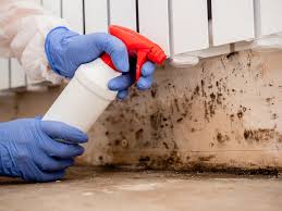 Mold Remediation for Rental Properties in Glenrock, WY